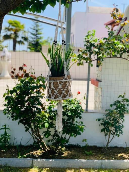 Mom'S Seaside Home Karianí 外观 照片