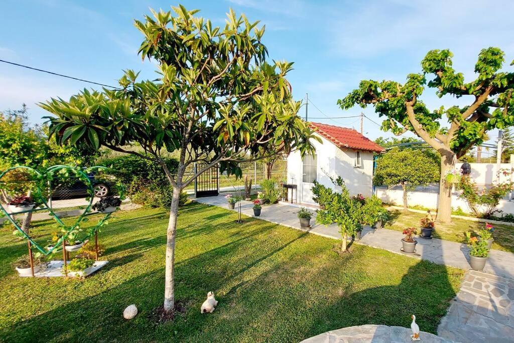 Mom'S Seaside Home Karianí 外观 照片